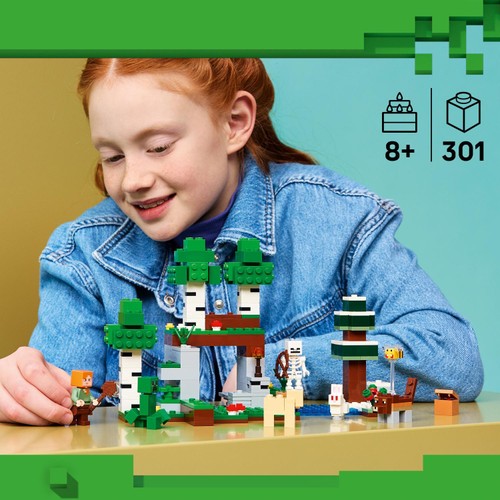 Lego Minecraft First Night Adventure 21593