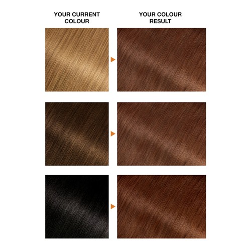 Garnier Belle Color Ease Gel Auburn 5.5