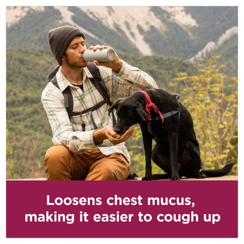 Benylin Mucus Cough Tabs  16 Pack