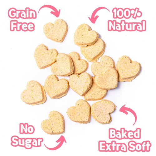 Park Life Cake-Bix Dog Biscuits Birthday Cake Flavour 