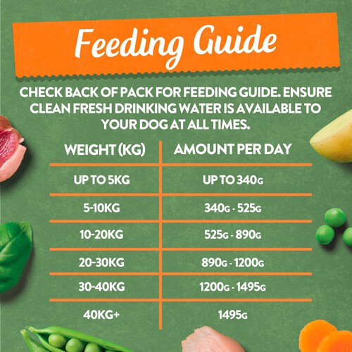 Harringtons Grain Free Mixed Dog Food Trays Multi Pack