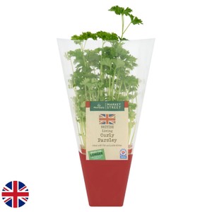 Market Street Living Parsley