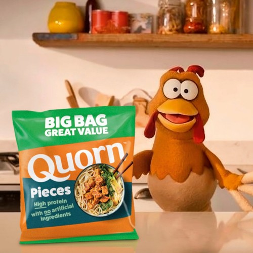 Quorn Vegetarian Pieces 500g