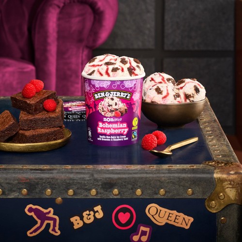 Ben & Jerrys Non-Dairy Vegan Bohemian Raspberry Ice Cream Tub   465ml