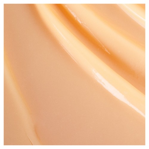 Garnier Ultimate Blends Argan Oil & Camellia Shampoo