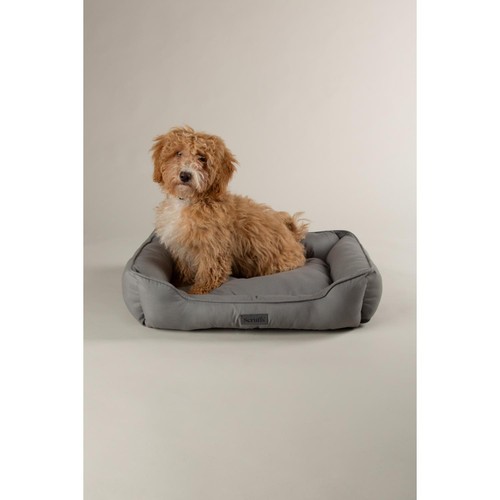 Scruffs Rio Dog Box Bed