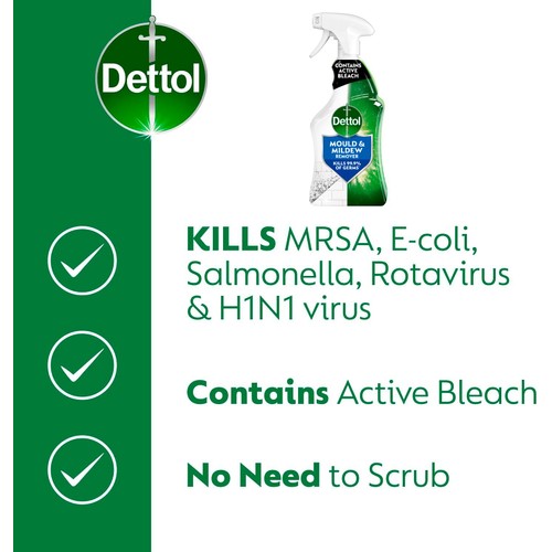 Dettol Antibacterial Disinfectant Mould & Mildew Remover Spray