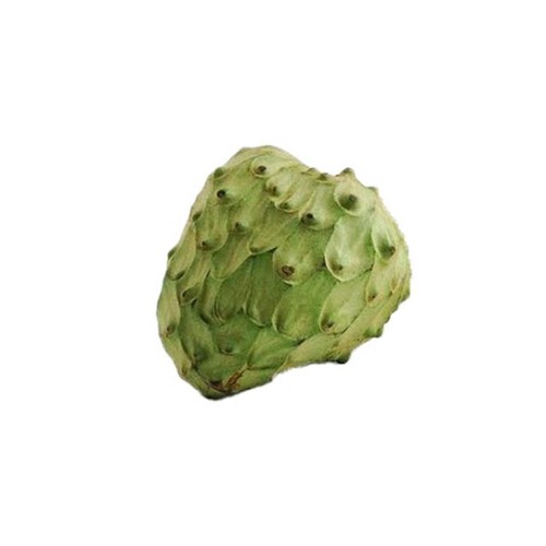 Morrisons Exotic Fruit Of The Month Born Tasty Cherimoya