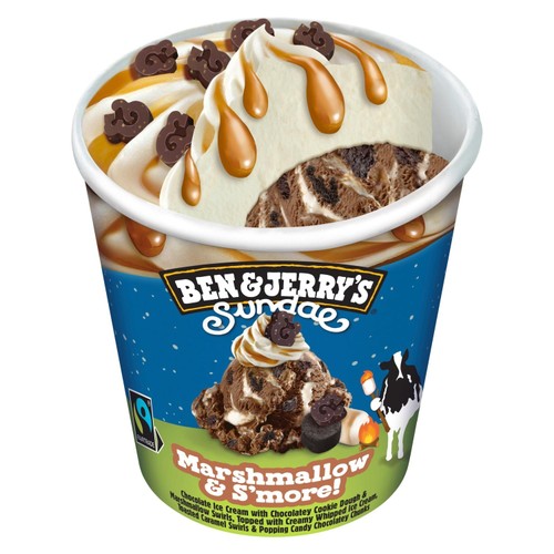 Ben & Jerry's Sundae Marshmallow & S'more! Chocolate Ice Cream Tub   427ml