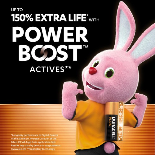Duracell Plus PBA AA Batteries 