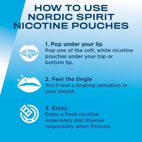 Nordic Spirit Mint Regular 6mg Nicotine Pouches
