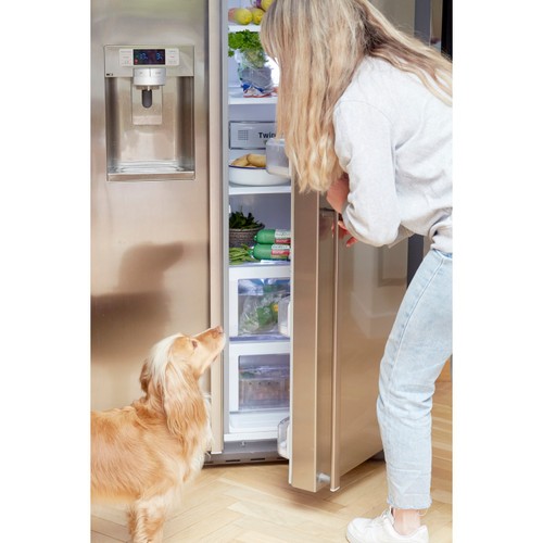 Freshpet Small Dog Turkey & Pork With Spinach & Potato Roll 