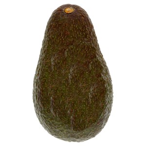 Giant Avocado
