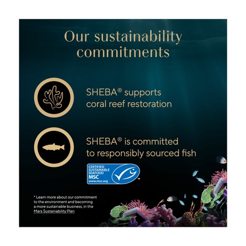 Sheba Classics Soup Adult Wet Cat Food Pouches with Tuna Fillets