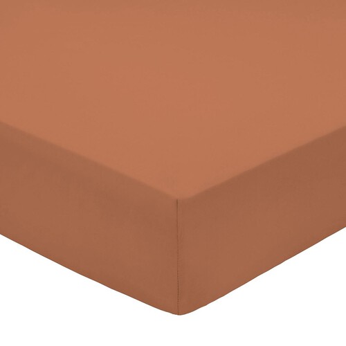 Nutmeg Terracotta 100% Cotton Fitted Sheet King