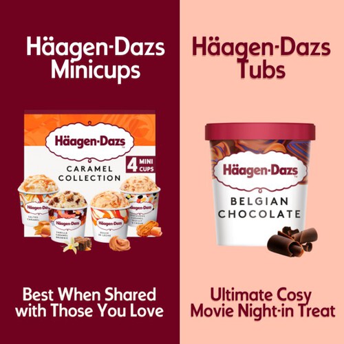 Haagen-Dazs Belgian Chocolate Ice Cream