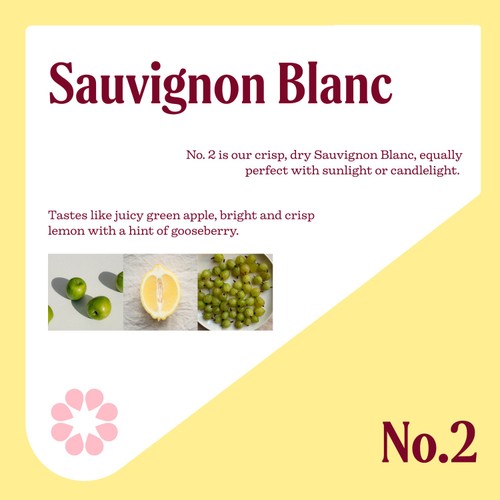 Nice Sauvignon Blanc Wine 