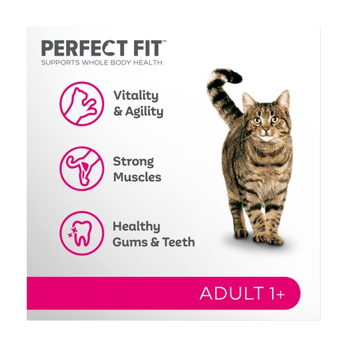 Perfect Fit Advanced Nutrition Adult Complete Dry Cat Food Chicken