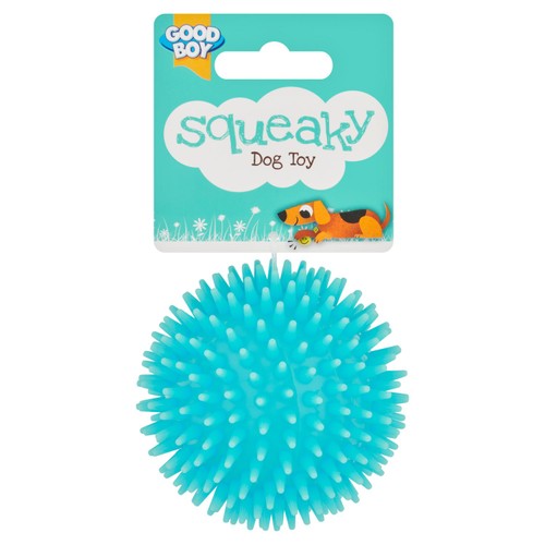 Good Boy Squeaky Toy