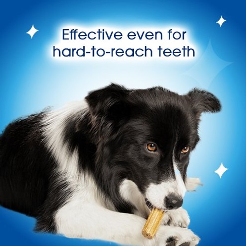 Dentalife Large Dental Chicken Dog Chews 18 Sticks