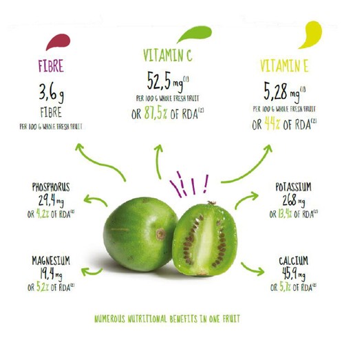 Nergi Kiwi Berries 
