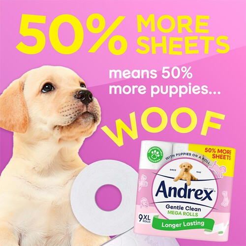 Andrex Mega Gentle Clean Toilet Tissue