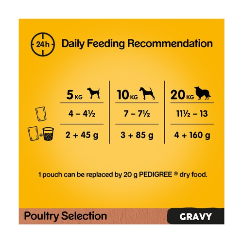 Pedigree Adult Wet Dog Food Pouches Mixed in Gravy