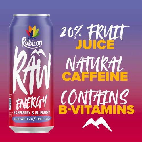 Rubicon Raw Raspberry & Blueberry Energy Drink