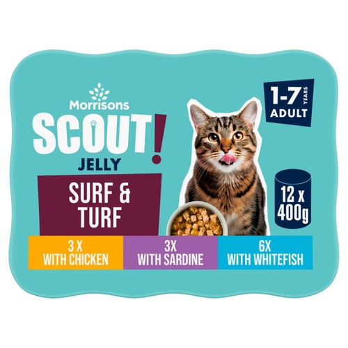 Morrisons Scout Surf & Turf In Jelly Adult Cat Food 12 x 400g
