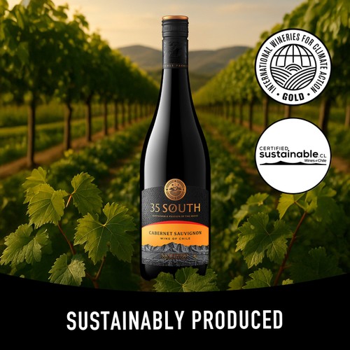 San Pedro 35 South Cabernet Sauvignon 75CL
