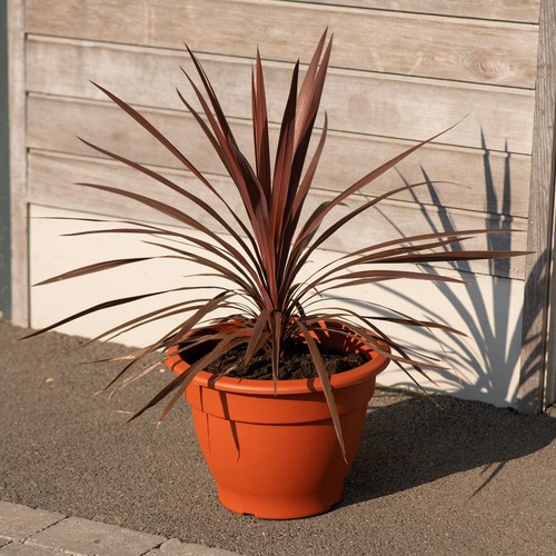 Strata Bell Pot Black 30cm