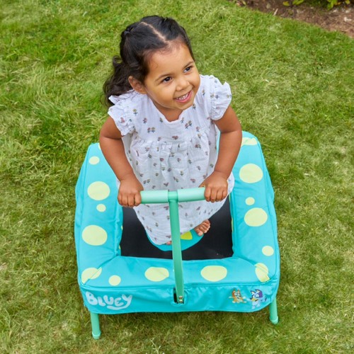 Bluey Trampoline