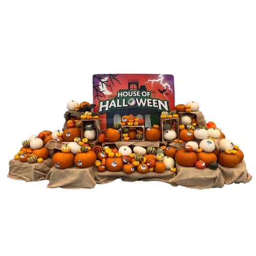 Morrisons Pumpkin 