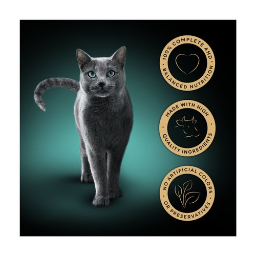 Sheba Select Slices Wet Cat Food Tray Beef In Gravy 85g