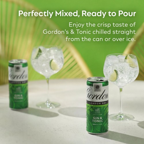 Gordon's London Dry Gin & Tonic 5% vol 250ml