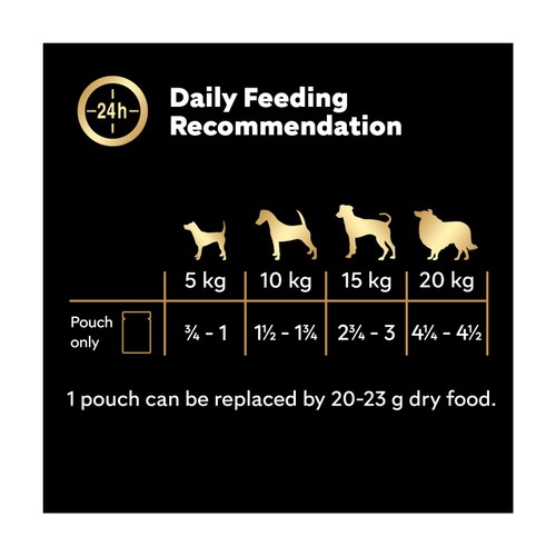 Cesar Deliciously Fresh Wet Dog Food Pouches Mixed In Sauce 12x100g