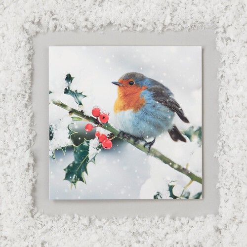 Morrisons Square Photographic Robin Christmas Cards 