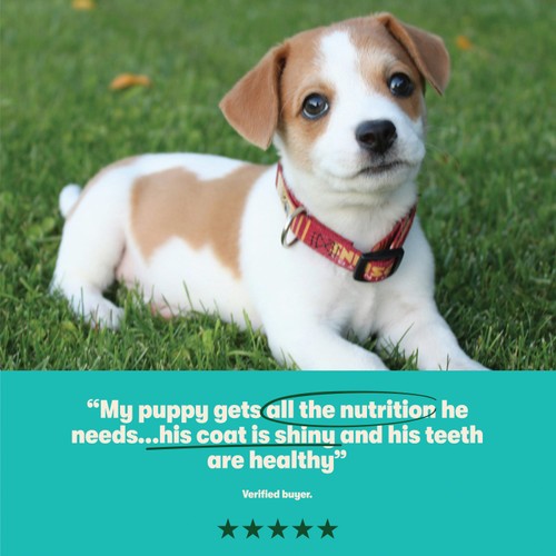 Harringtons Dry Puppy Food Rich in Turkey & Rice 