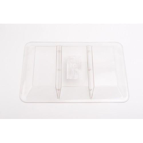 Nutmeg Home Clear Snack Tray