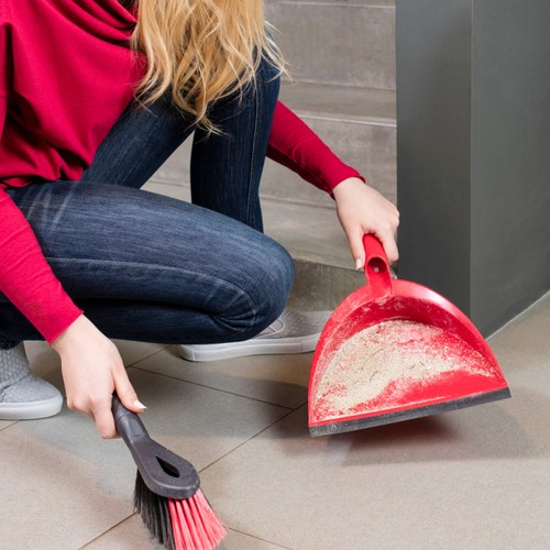 Vileda 2 in 1 Dustpan and Brush Set       
