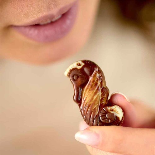 Guylian Artisanal Belgian Chocolate