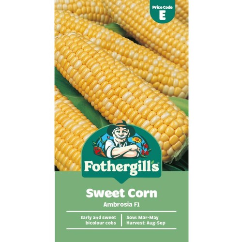 Mr Fothergills Sweet Corn Ambrosia F1 Seeds