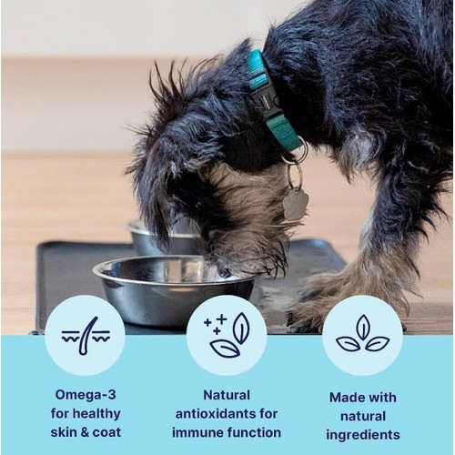 Tails.Com Inner Vitality Adult Chicken Tray 150g