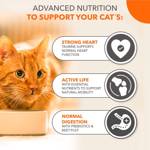 Iams For Vitality Adult Cat 11 Years With Chicken 800g