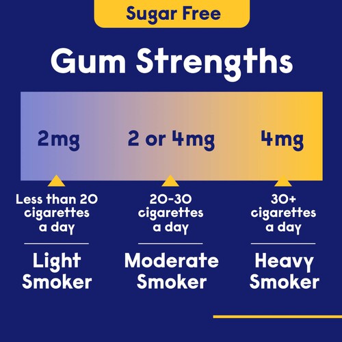 Nicotinell Fruit Gum 2 Mg 