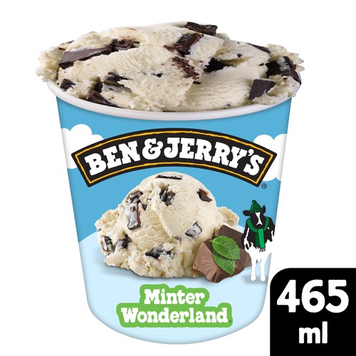 Ben & Jerry's Minter Wonderland Ice Cream Tub 