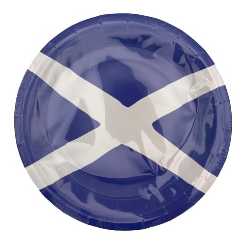 Morrisons Blue & White Plates