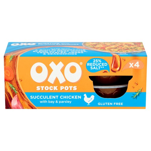 Oxo Stock Pots Succulent Chicken 