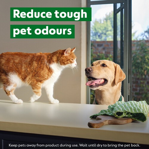 Dettol Pet Disinfectant Spray