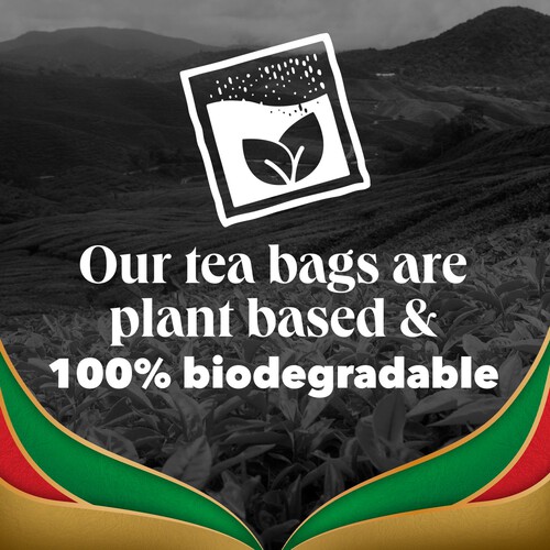 PG Tips Gold 70 Tea Bags